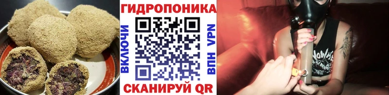 блэк спрут зеркало  Щучье  Печенье с ТГК марихуана 