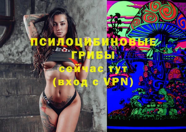 МДПВ Майский