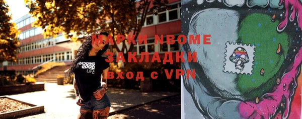 тгк Абаза