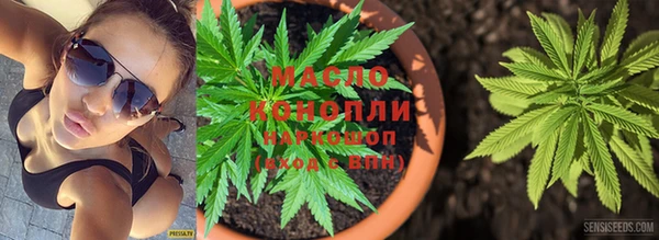тгк Абаза
