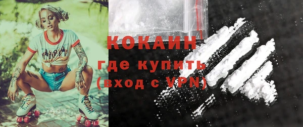 тгк Абаза