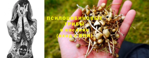 a pvp Абдулино