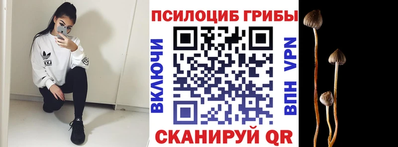 Псилоцибиновые грибы MAGIC MUSHROOMS  Щучье 