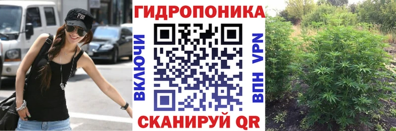 МАРИХУАНА OG Kush  Щучье 